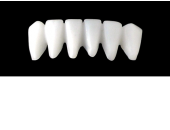 Cod.E9LOWER ANTERIOR: 10x  wax facings-bridges (hollow), LARGE, Aligned, (43-33), compatible with solid (not  hollow) wax bridges Cod.S9LOWER ANTERIOR, (43-33)